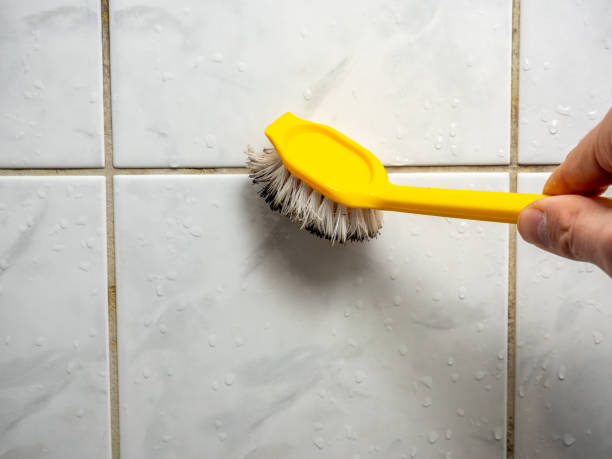 Best Health and Safety Mold Remediation in Atasdero, CA