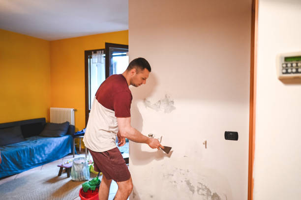 Best HVAC Mold Remediation in Atasdero, CA